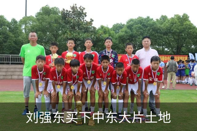 刘强东买下中东大片土地